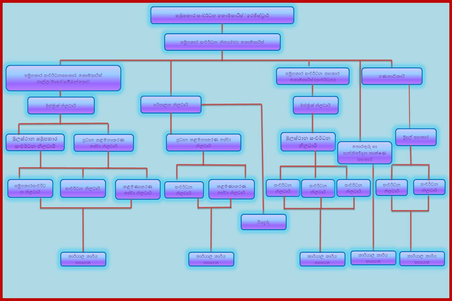 organization chart